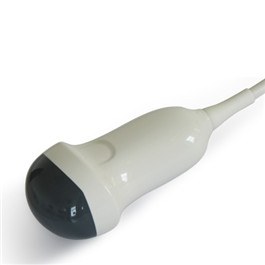 Объёмный конвексный 4D датчик Chison V4C40L - 0 руб.